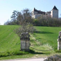 Chateau De Goudourville