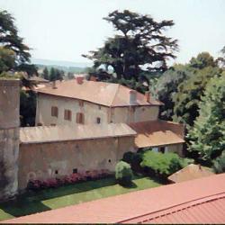 Château De Jarcieu