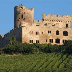 Château De Kintzheim