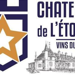 Chateau De L'etoile