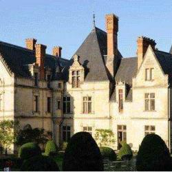 Parc Et Jardin Du Chateau - Bourdaisière