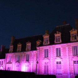 Château De La Ferté Saint Aubin