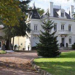 Château De La Tour De Salvagny