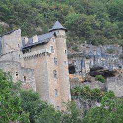 Château De Larroque-toirac