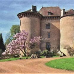 Château De Montaiguët - En - Forez