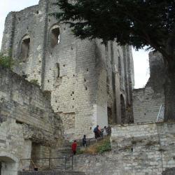 Chateau De Montrichard