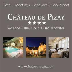 Château De Pizay