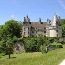 Château De Puyguilhem