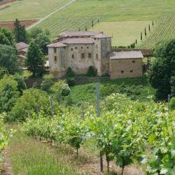 Château De Rapetour