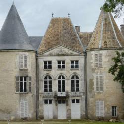 Château De Reynel