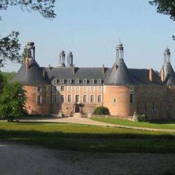 Chateau De Saint Fargeau