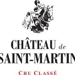 Château De Saint Martin