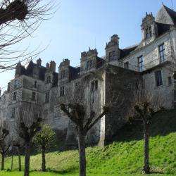 Château De St Aignan