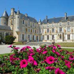 Chateau De Terre Neuve