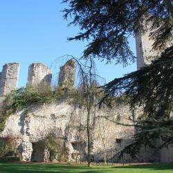 Château De Vendôme