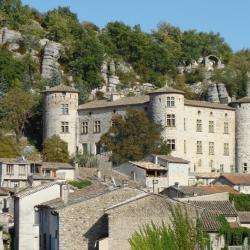 Château De Vogüe