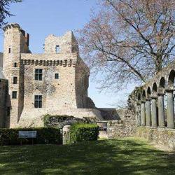 Château De Châteaubriant - Grand Patrimoine De Loire-atlantique