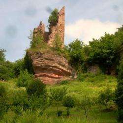 Château Des Comtes De Salm