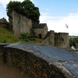 Château Des Ducs De Lorraine