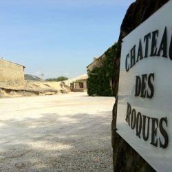 Chateau Des Roques