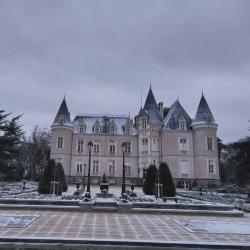 Château Des Tesnières