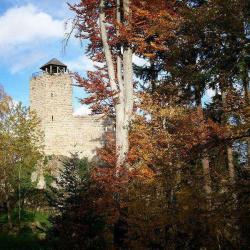 Château Du Bernstein