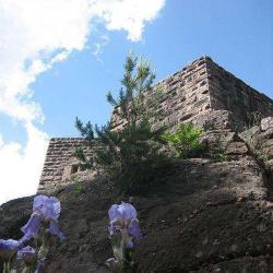 Château Du Birkenfels
