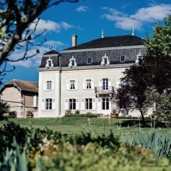 Château Du Moulin-à-vent