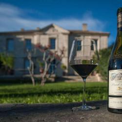 Chateau Du Puech-haut