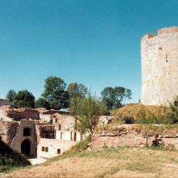 Château Fort De Guise