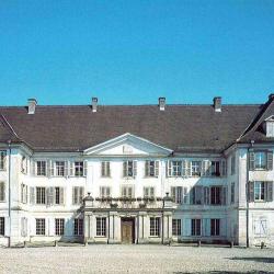 Château De Reinach