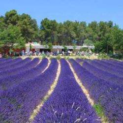 Chateau L'evesque