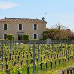 Château La Renommée
