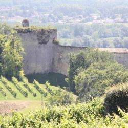 Chateau Langoiran