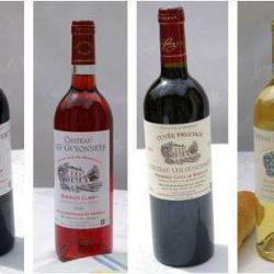 Chateau Les Guyonnets