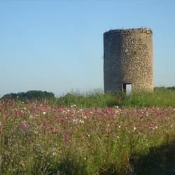 Chateau Moulin De Peyronin