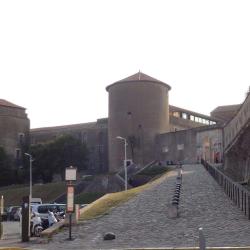 Château-neuf De Bayonne