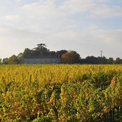 Château Pierre Bise (earl)