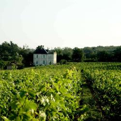 Château Prieuré Canteloup