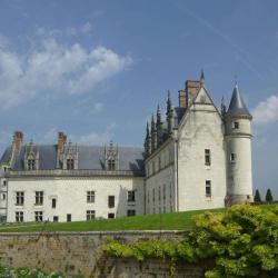 Fondation Saint Louis