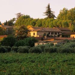 Chateau Sainte Roseline