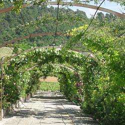 Chateau Val Joanis