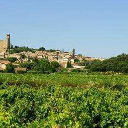 Châteauneuf Du Pape