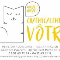 Chatmicalement Vôtre