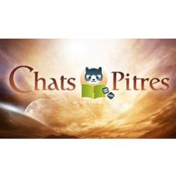 Chats Pitres