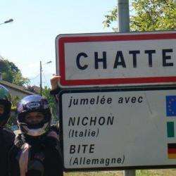 Chatte