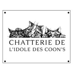 Chatterie De L'idole Des Coon's