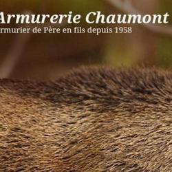 Chaumont Philippe