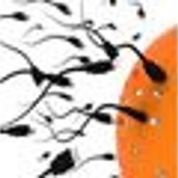 Checkup Informatique