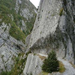 Chemin De La Mâture